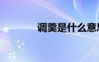 调羹是什么意思（调羹解释）