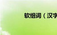 软组词（汉字软怎么组词）