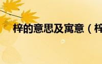 梓的意思及寓意（梓的意思及寓意介绍）