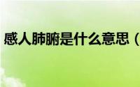 感人肺腑是什么意思（感人肺腑解释及出处）