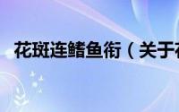 花斑连鳍鱼衔（关于花斑连鳍鱼衔的简介）