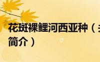 花斑裸鲤河西亚种（关于花斑裸鲤河西亚种的简介）