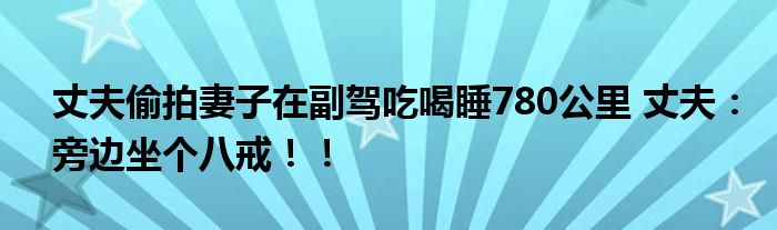 丈夫偷拍妻子在副驾吃喝睡780公里 丈夫：旁边坐个八戒！！