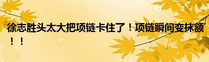 徐志胜头太大把项链卡住了！项链瞬间变抹额！！