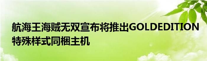 航海王海贼无双宣布将推出GOLDEDITION特殊样式同梱主机