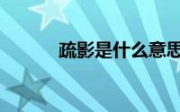 疏影是什么意思（疏影的含义）