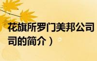 花旗所罗门美邦公司（关于花旗所罗门美邦公司的简介）