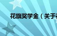 花旗奖学金（关于花旗奖学金的简介）