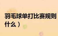 羽毛球单打比赛规则（羽毛球单打比赛规则是什么）