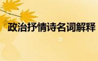 政治抒情诗名词解释（什么是政治抒情诗）