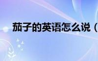 茄子的英语怎么说（茄子的英语如何说）