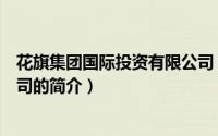 花旗集团国际投资有限公司（关于花旗集团国际投资有限公司的简介）