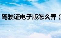 驾驶证电子版怎么弄（驾驶证电子版如何弄）