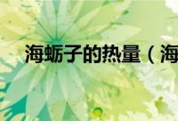 海蛎子的热量（海蛎子的热量是多少呢）