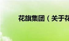 花旗集团（关于花旗集团的简介）
