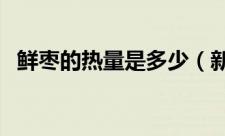 鲜枣的热量是多少（新鲜枣子热量是多少）