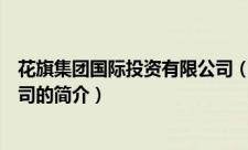 花旗集团国际投资有限公司（关于花旗集团国际投资有限公司的简介）