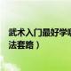 武术入门最好学哪种拳法套路视频（武术入门最好学哪种拳法套路）