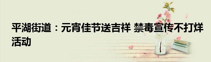 平湖街道：元宵佳节送吉祥 禁毒宣传不打烊活动