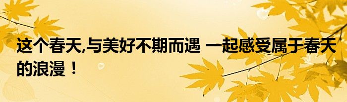 这个春天,与美好不期而遇 一起感受属于春天的浪漫！