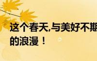 这个春天,与美好不期而遇 一起感受属于春天的浪漫！