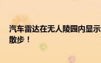 汽车雷达在无人陵园内显示全是人影!网友：清明了 出来散散步！