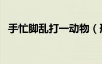 手忙脚乱打一动物（形容手忙脚乱的动物）