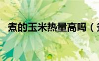 煮的玉米热量高吗（煮玉米热量是多少呢）