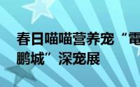 春日喵喵营养宠“電”站 与德国俊宝相约“鹏城”深宠展