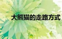 大熊猫的走路方式（大熊猫怎么走路）