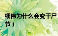 细伟为什么会变干尸（有没有人注意到这个细节）
