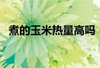 煮的玉米热量高吗（煮玉米热量是多少呢）