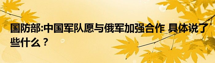 国防部:中国军队愿与俄军加强合作 具体说了些什么？