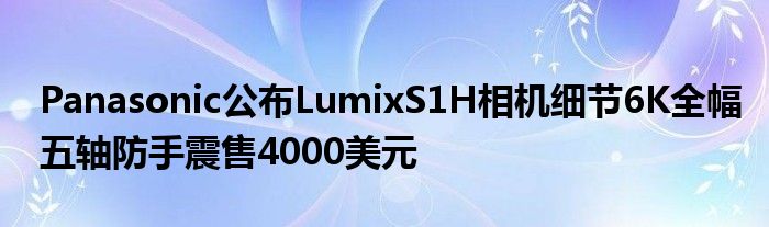 Panasonic公布LumixS1H相机细节6K全幅五轴防手震售4000美元