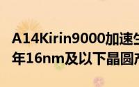 A14Kirin9000加速生产TSMC预计5nm佔今年16nm及以下晶圆产量的11%