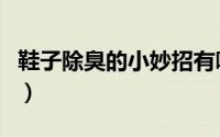 鞋子除臭的小妙招有哪些（鞋子除臭的小妙招）
