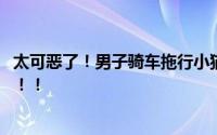 太可恶了！男子骑车拖行小猫致死 这种人不会有什么好下场！！
