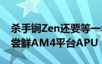 杀手锏Zen还要等一年但明年3月份我们可能尝鲜AM4平台APU