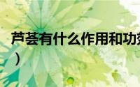 芦荟有什么作用和功效（深入了解芦荟的用途）