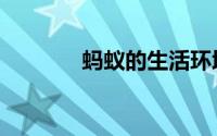 蚂蚁的生活环境（蚂蚁介绍）