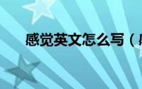 感觉英文怎么写（感觉用英文怎么说）
