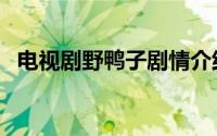 电视剧野鸭子剧情介绍（讲的是什么故事）