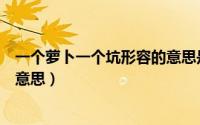 一个萝卜一个坑形容的意思是什么（一个萝卜一个坑是什么意思）