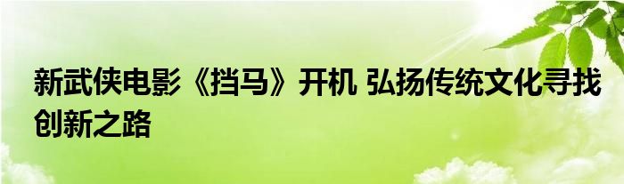 新武侠电影《挡马》开机 弘扬传统文化寻找创新之路