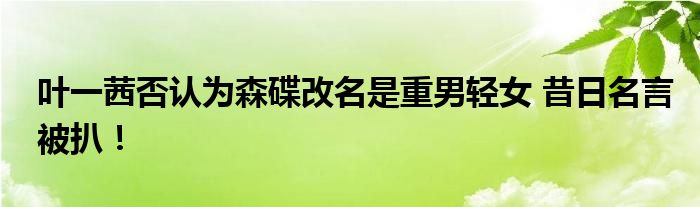 叶一茜否认为森碟改名是重男轻女 昔日名言被扒！