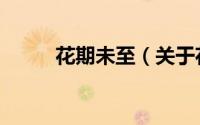 花期未至（关于花期未至的简介）