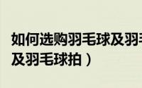 如何选购羽毛球及羽毛球拍（怎么选购羽毛球及羽毛球拍）