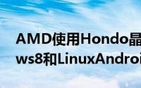 AMD使用Hondo晶片的平板将支援Windows8和LinuxAndroid不在计划中