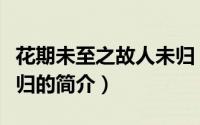 花期未至之故人未归（关于花期未至之故人未归的简介）