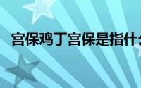 宫保鸡丁宫保是指什么（宫保鸡丁的由来）